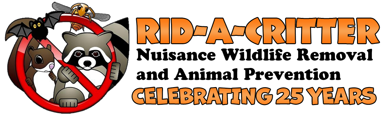 Rid-A-Critter