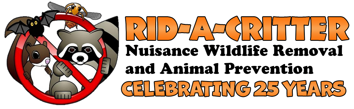 Rid-A-Critter